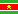 image of flag of Suriname