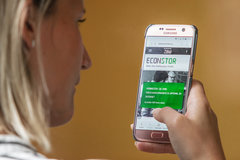 EconStor EconStor